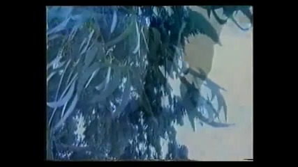 Превод * Избухвам В Сълзи * Стаматис Гонидис * Official Video