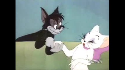 055. Tom & Jerry - Casanova Cat (1951) 