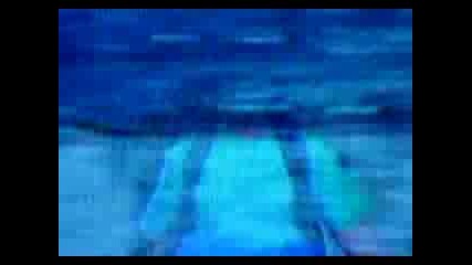 Survivor - Im Always Here
