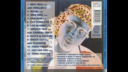 Shabba Ranks - Pay Down Pon It.avi