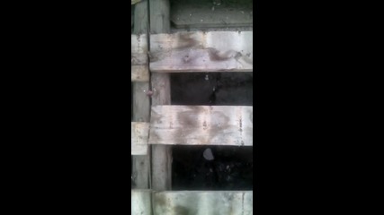 Vid_20141101_111949