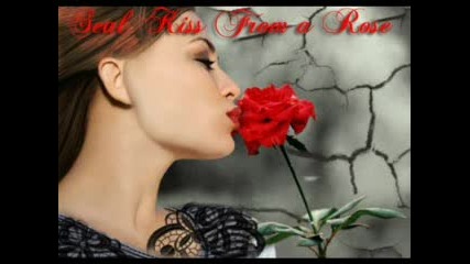 Seal - Kiss From A Rose