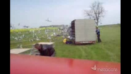 Изумително - 5000 гълъба в 1 кола