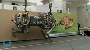 MIT's Jumping Robot Cheetah Will Keep You Awake at Night