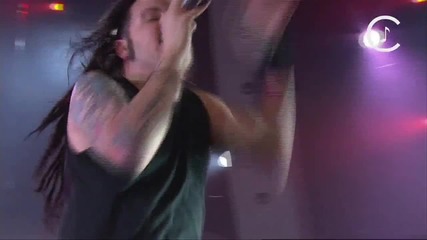 Korn - Falling Away From Me (live) 