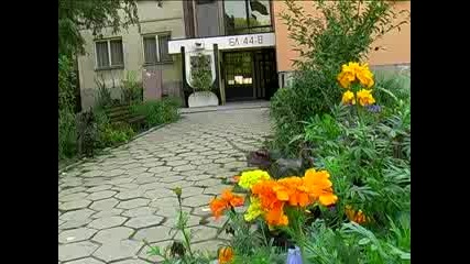 зелен Дом