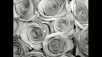 Enigma - Return To Innocence