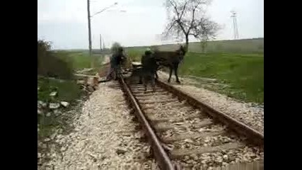 Цигани спират влак близо до гр. Меричлери