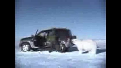 Реклама На Jeep
