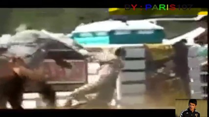 За тоя кон трябва да си много смел 