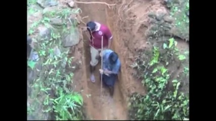 Страхотно Видео – Хора спасяват малко слонче попаднало в дупка