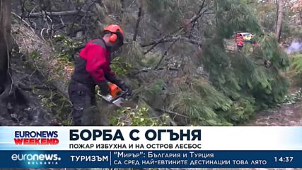 Борба с огъня в Европа: Пожар избухна и на остров Лесбос