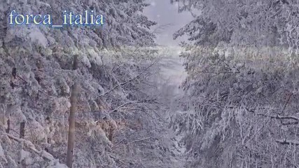Salvatore Adamo -tombe la neige