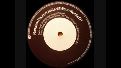 Random factor - What I need Chicken lips remix 