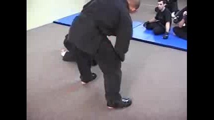 Martial Arts - Combat Daido Kudo