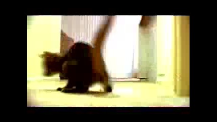 The Mean Kitty Song