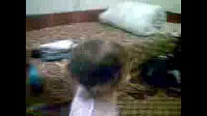 tonito