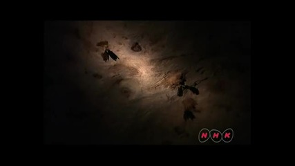 Gunung Mulu - Национален парк Малайзия