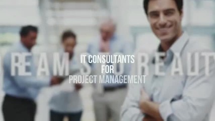 Project Management and It Consultants