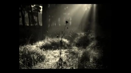 Ocean Gipsy - Blackmores Night 