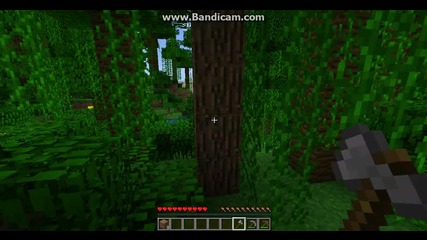Minecraft Ocelqvane 2