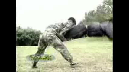 Sanshou Kungfu 2