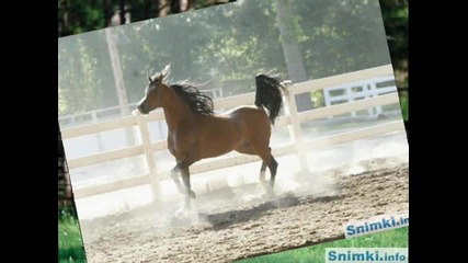 kone