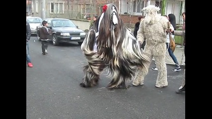 кукери средец 2013