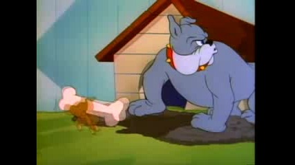 Tom & Jerry - The Framed Cat