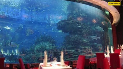 Много красив подводен ресторант в Австралия