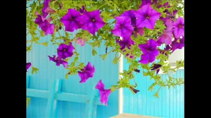 Stormy Monday - Eva Cassidy 