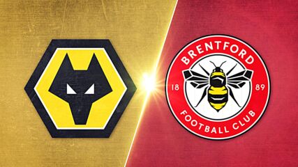Wolverhampton Wanderers FC vs. Brentford - Game Highlights
