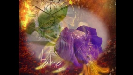 Nove Zice - Trujes mi srce