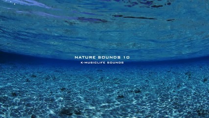 Най-успокояващите звуци от природата * 10 * Nature Sound * The Most Relaxing Sounds