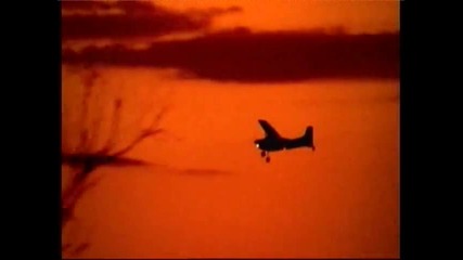 Nat Geo Wild - Africa Dream - National Geographic Short Movies