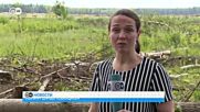 Завод Daimler в России: экоактивисты против (23.06.2016)
