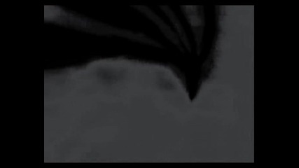 Bleach - Evanescence - Going under - Amv