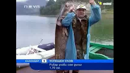 ! - Рибар улови Сом дълъг 170см ! 