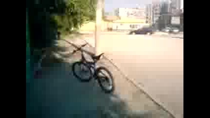 Jivko Si Kara Koleloto