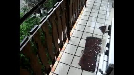 Rain