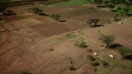 Lost Village trailer with real music from the movie 