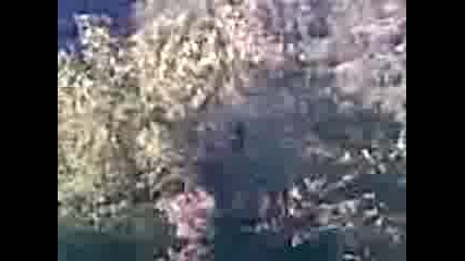 Ловец сам и рибар сам