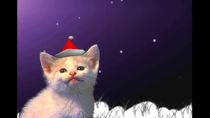Jingle Cats Silent Night
