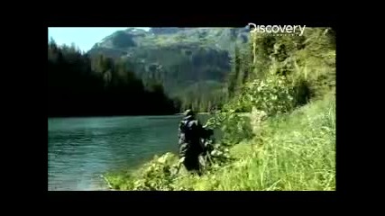 Alaska Fishing Salmon