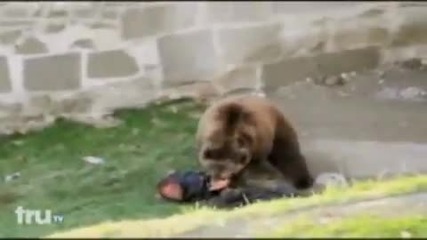 Мечка изяжда човек