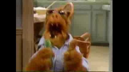 Alf - Запя