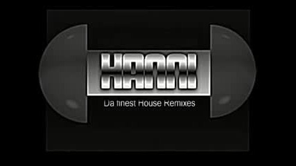 Electro House Megamix 2009
