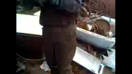 Видео009