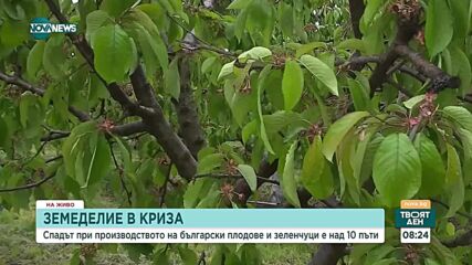 Производител алармира за вносна стока, представена с етикет за българска