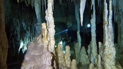 Cenote Tres Estrellas - сеноте трите звезди